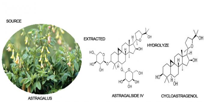 98% 50% 10% 5% Cycloastragenol Root Astragalus Extract Powder 0