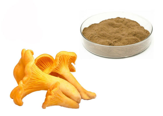 Cina 30% Polisakarida Chantarelle Mushroom Extract Powder pemasok