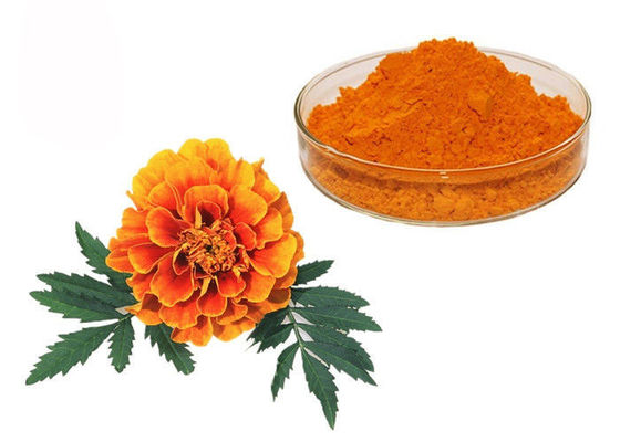 Cina Xanthophyll Marigold Bunga Herbal Ekstrak Pigmen Alami pemasok