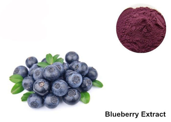 Cina Ekstrak Blueberry Organik Untuk Mata pemasok