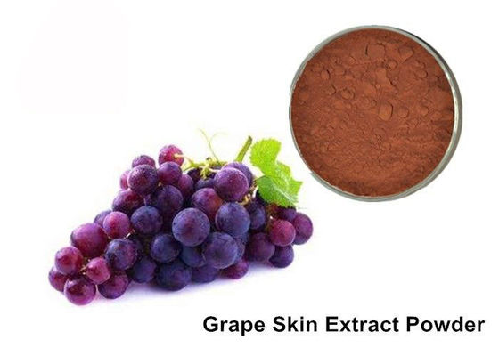 Cina 25% Anthocyanin Ekstrak Kulit Murni Grapeseed / Grape pemasok