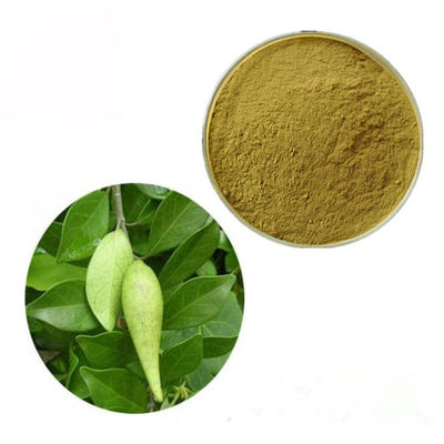Cina Gymnema Sylvestre Leaf Anthocyanin Extract Powder Untuk Farmasi pemasok