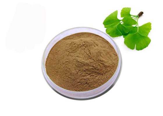 Cina Bubuk Ginkgo Biloba Organik Kelas USP pemasok