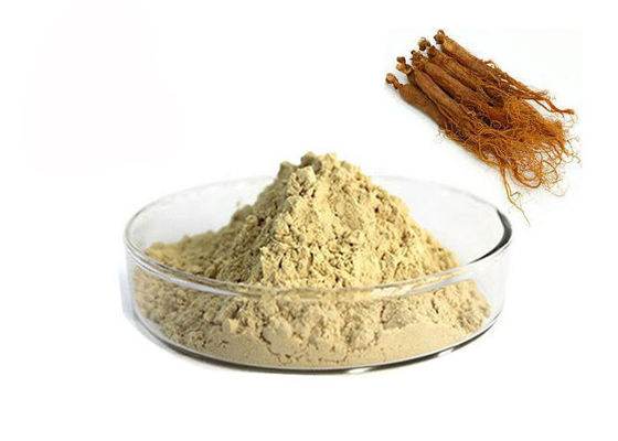 Cina 10% Ginsenosides Red Ginseng Extract pemasok