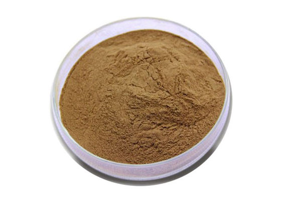 Mengatur Lemak Darah 24/6 Ekstrak Standar Ginkgo Biloba pemasok