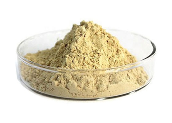 Farmasi 80% Panax Root Natural Ginseng Extract Powder pemasok