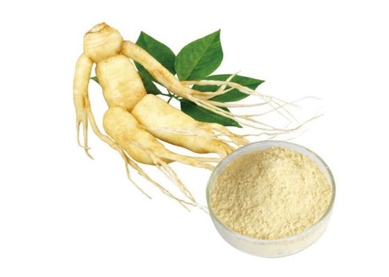 CAS 90045-38-8 80% Ginsenosides Pure Herbal Ginseng Root Powder pemasok