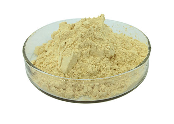 30% Ginsenosides Anti Aging Light Yellow Ginseng Extract Powder pemasok