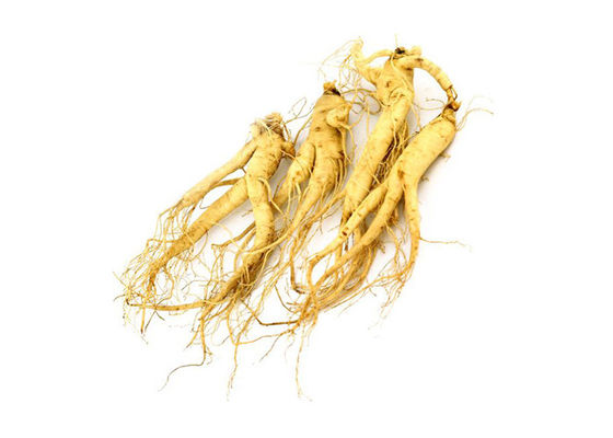 30% Ginsenosides Anti Aging Light Yellow Ginseng Extract Powder pemasok