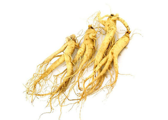 Food Grade Panaxoside Ginseng Extract Powder Untuk Produk Kesehatan pemasok