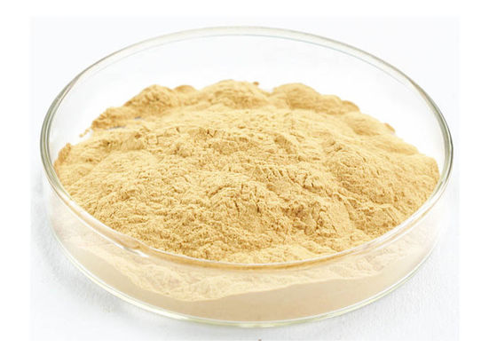 Perawatan Kesehatan Meningkatkan Kekebalan Tubuh Akar Ginseng Extract pemasok