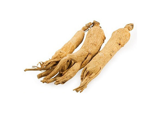 Perawatan Kesehatan Meningkatkan Kekebalan Tubuh Akar Ginseng Extract pemasok
