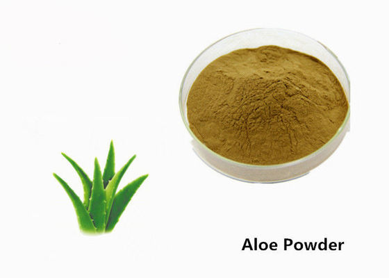 Kosmetik Kelas Lidah Buaya Ekstrak Tanaman Daun Lidah Untuk Kulit pemasok