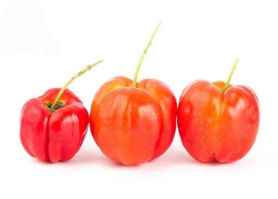 Vitamin C 17% 25% Bubuk Ekstrak Buah Alami Acerola Cherry pemasok