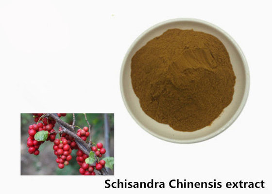Hepatoprotektif 5,2% Schisandra Chinensis Ekstrak Tanaman Bubuk pemasok