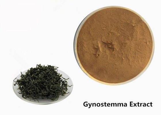 Food Grade Anti Tumor Herbal Gynostemma Ekstrak Bubuk pemasok