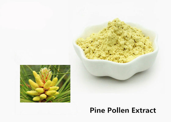 Perawatan Kesehatan 1kg Natural Pine Pollen Extract Powder pemasok