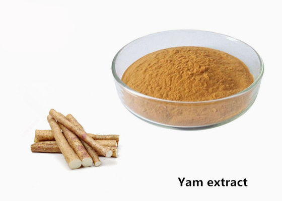 Anti Kelelahan 1kg Natural Wild Yam Plant Extract Powder pemasok