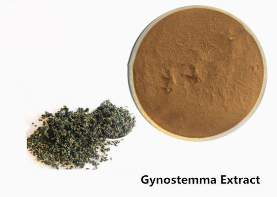 Food Grade Anti Tumor Herbal Gynostemma Ekstrak Bubuk pemasok