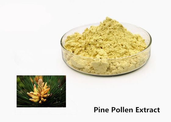 Perawatan Kesehatan 1kg Natural Pine Pollen Extract Powder pemasok