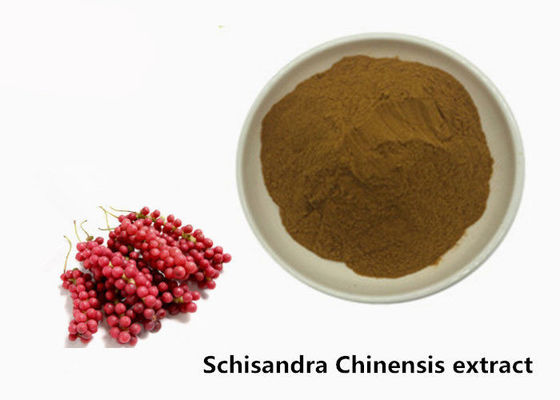Hepatoprotektif 5,2% Schisandra Chinensis Ekstrak Tanaman Bubuk pemasok