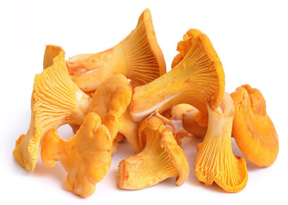 30% Polisakarida Chantarelle Mushroom Extract Powder pemasok