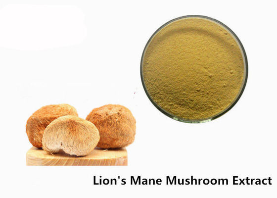 Anti Viral 50% Beta D Glucan Organic Lion'S Mane Mushroom Powder pemasok