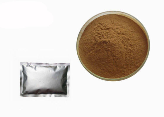 Ekstrak Jamur Shiitake Jamur Anti Kelelahan Food Grade pemasok