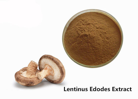 Ekstrak Jamur Shiitake Jamur Anti Kelelahan Food Grade pemasok