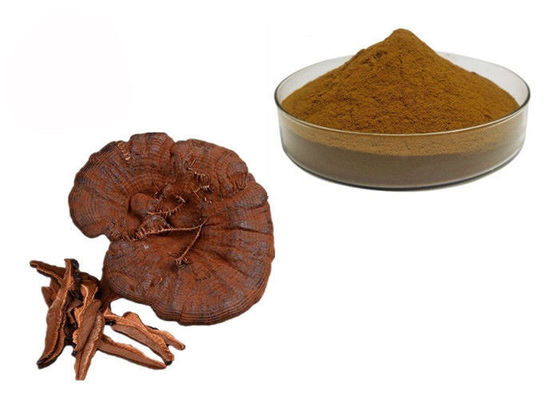 50% Kemurnian Ganoderma Lucidum Reishi Mushroom Extract Powder pemasok