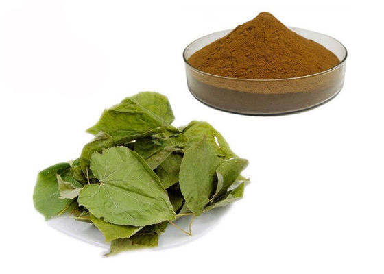 CAS 489-32-7 Horny Goat Weed Epimedium Herbal Extract Powder pemasok
