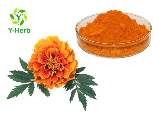Xanthophyll Marigold Bunga Herbal Ekstrak Pigmen Alami pemasok