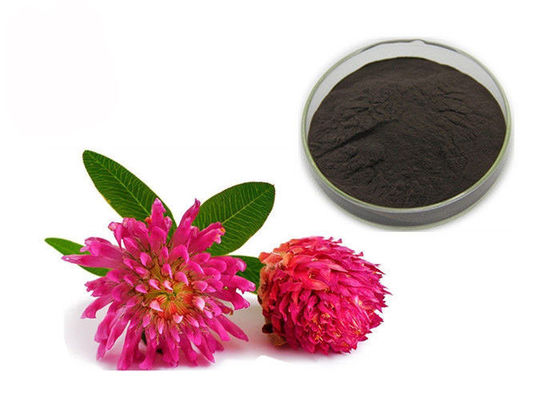 Kemurnian 2.5% 8% 20% 40% Isoflavon Red Clover Extract Powder pemasok