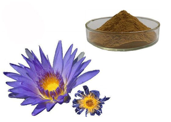 Nymphaea Caerulea Flower Powder Blue Lotus Ekstrak Herbal Organik pemasok