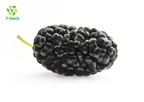 Anthocyanin Fruit Mulberry Herbal Extract Powder Untuk Aditif Makanan pemasok