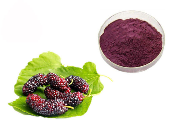 Anthocyanin Fruit Mulberry Herbal Extract Powder Untuk Aditif Makanan pemasok