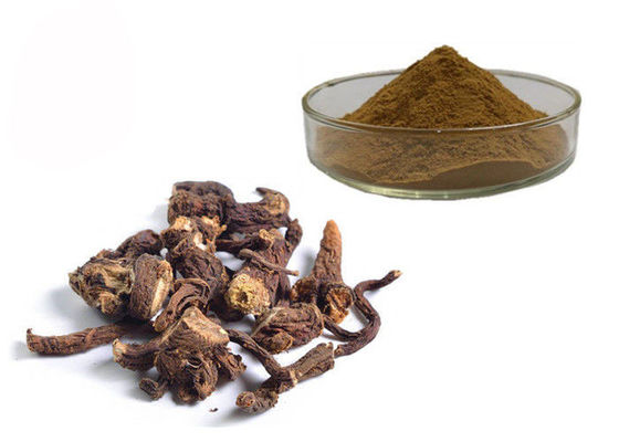 Ekstrak Herbal Herbal Akar Dandelion Larut Air pemasok