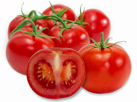 6% 10% 20% Lycopene 502-65-8 Ekstrak Buah Tomat Dehidrasi pemasok