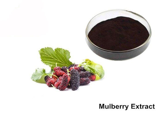 Serbuk Ekstrak Mulberry Alami pemasok