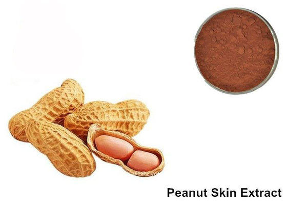 95% Proanthocyanidins Ekstrak Kulit Kacang Antosianin pemasok