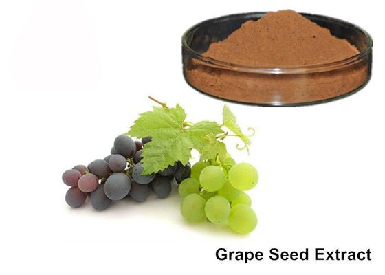 25% Anthocyanin Ekstrak Kulit Murni Grapeseed / Grape pemasok