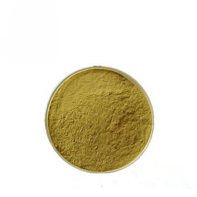 Gymnema Sylvestre Leaf Anthocyanin Extract Powder Untuk Farmasi pemasok