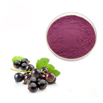 Jus Terkonsentrasi Bubuk Ekstrak Hitam Currant 10% Antosianin pemasok