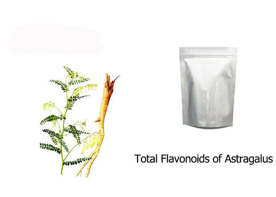 Ekstrak Akar Astragalus Membranaceus Kering pemasok