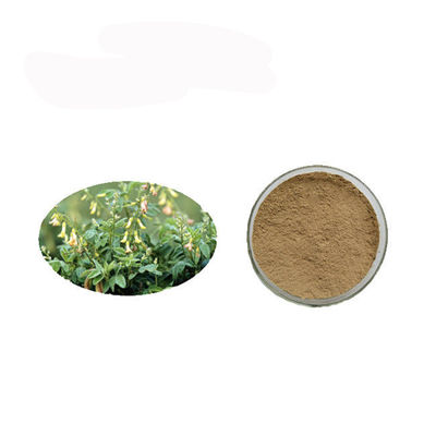 Kemurnian tinggi Anti Kanker Polysaccharides Astragalus Extract Powder pemasok