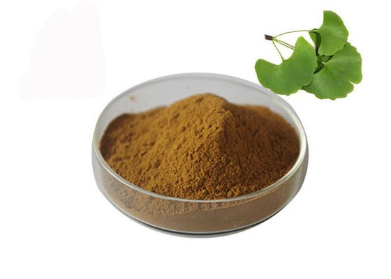 Tekanan Darah Owering Bubuk Massal Ginkgo Biloba pemasok