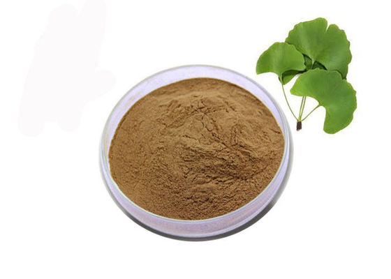 Food Grade Gizi Brown Ginkgo Biloba Ekstrak Daun Bubuk pemasok