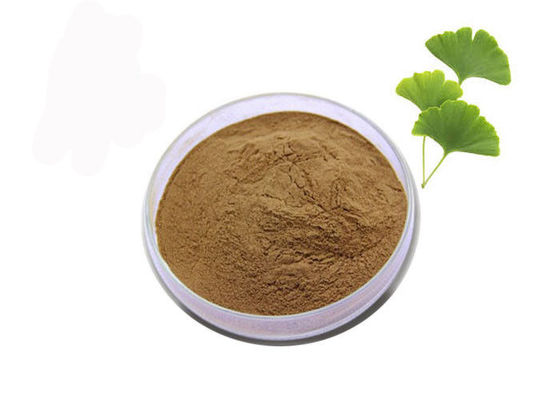 Mengatur Lemak Darah 24/6 Ekstrak Standar Ginkgo Biloba pemasok