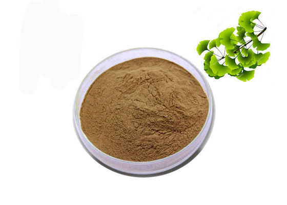 CAS 90045-36-6 Daun Kering Organik Ekstrak Ginkgo Biloba pemasok