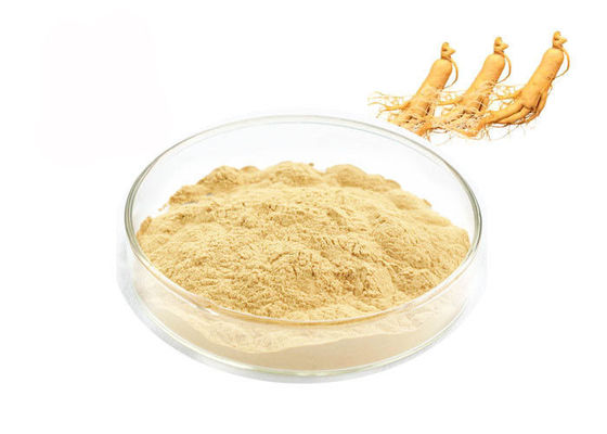 Bubuk Ekstrak Ginseng Alami pemasok